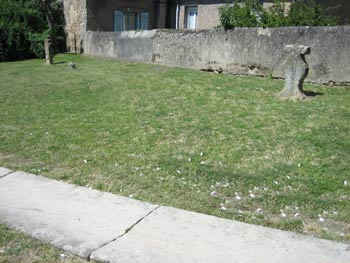 D'anciennes tombes dans le jardin de l'glise, ancien cimetire (JPG)