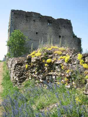 Tour de Brunehault (JPG)