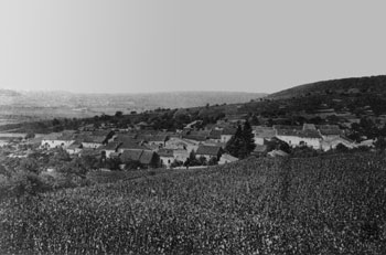 Chaligny-le-Val et ses vignes (JPG)