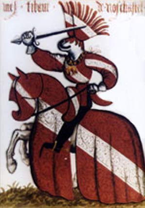 Armorial questre de la Toison d'Or : Thibaut VIII (JPG)