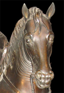 D&eacute;tail de la t&ecirc;te du cheval